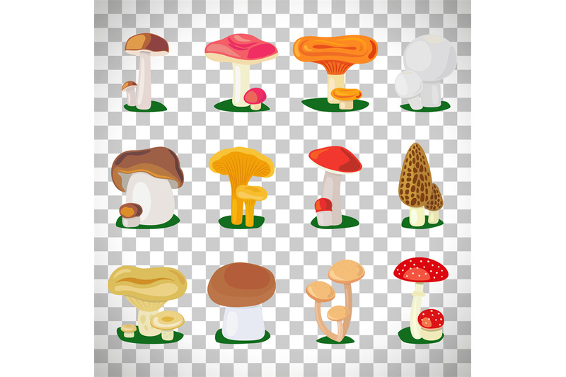 edible-mushrooms-on-transparent-background