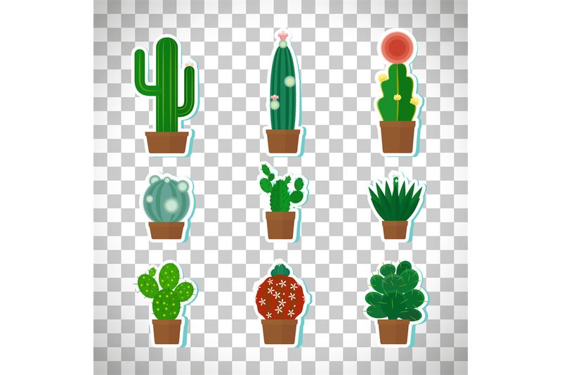 cactus-icons-set-on-transparent-background