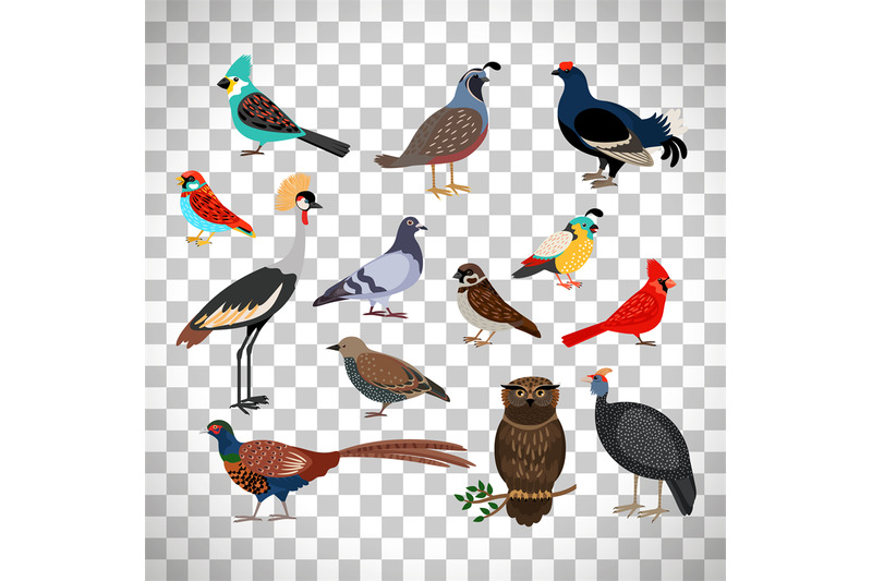 cute-birds-set-on-transparent-background