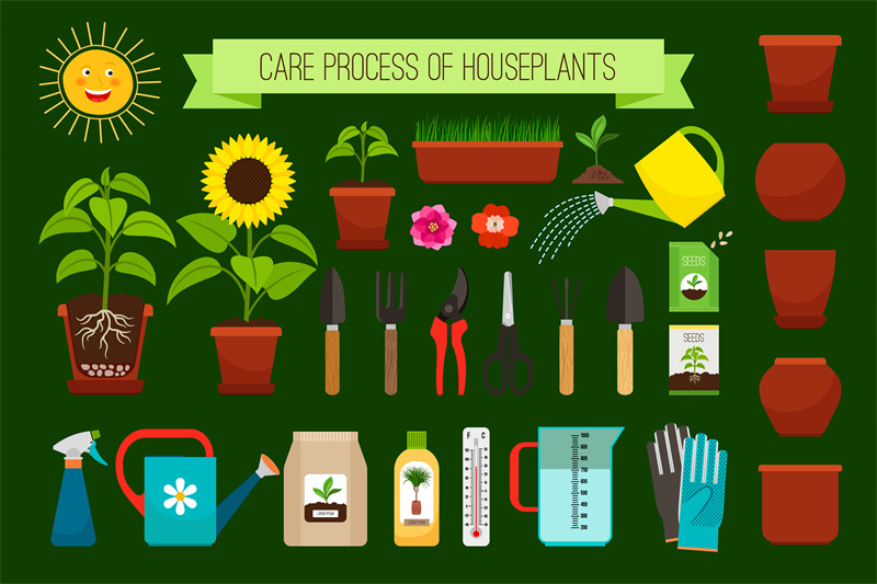 houseplants-care-process-icons