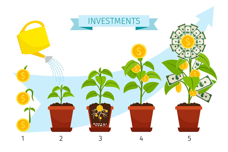 investments-process-with-money-tree-growing