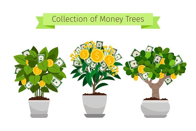 money-tree-in-flower-pot-set
