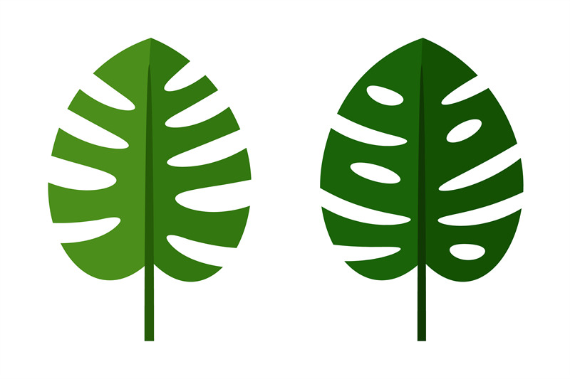 palm-leaves-green-flat-icons