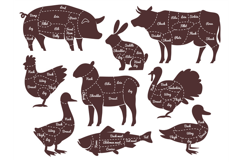 butcher-diagrams-cutting-lines-different-parts-domestic-farm-animals