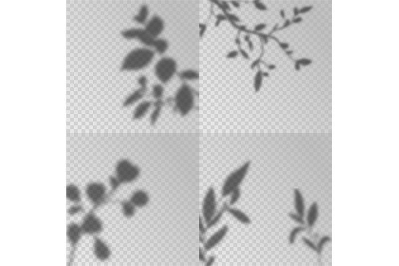 overlay-shadows-transparent-soft-light-shadow-leaves-and-plant-branc