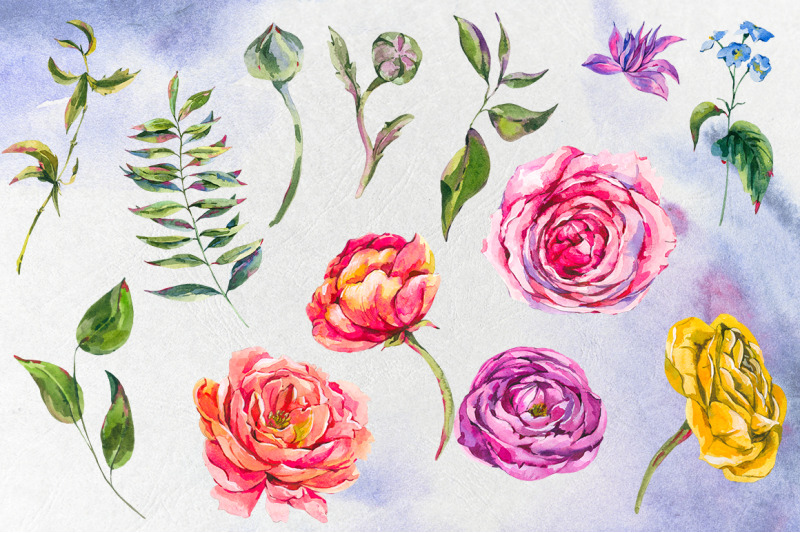 watercolor-rose-and-ranunculus