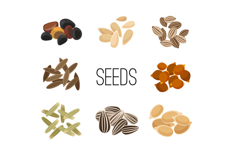 grains-and-seeds-isolated-on-white-background