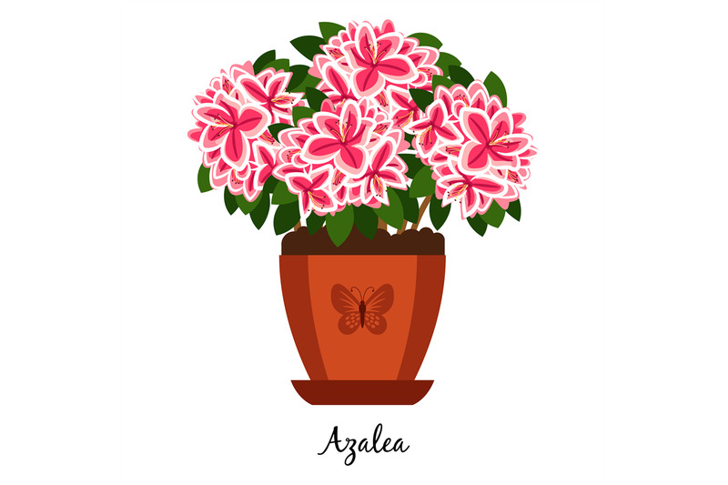 azalea-plant-in-pot-icon