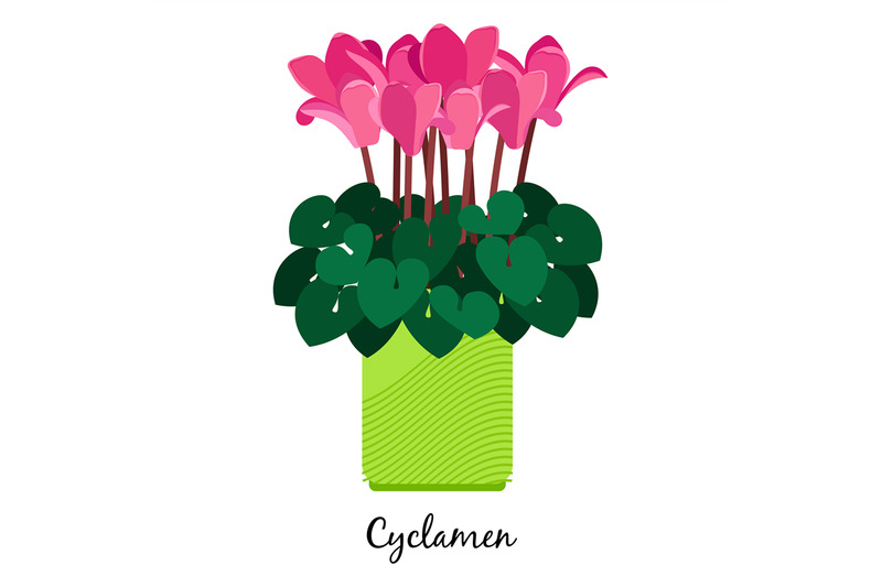 cyclamen-plant-in-pot-icon