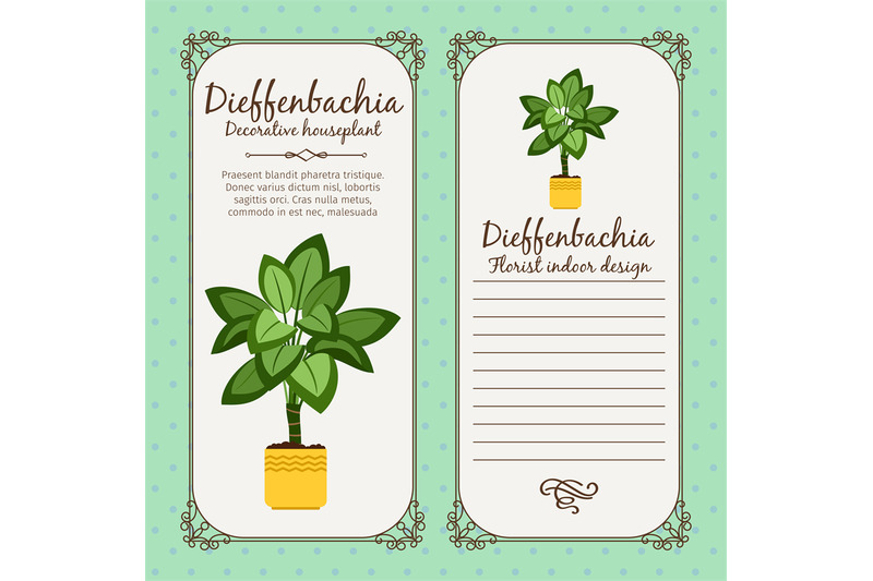 vintage-label-with-dieffenbachia-plant