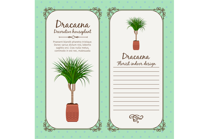 vintage-label-with-dracaena-plant