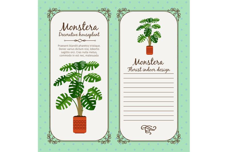 vintage-label-with-monstera-plant