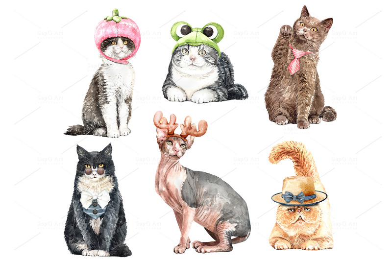 cat-lover-watercolor-cliparts-animals-watercolor-set-b