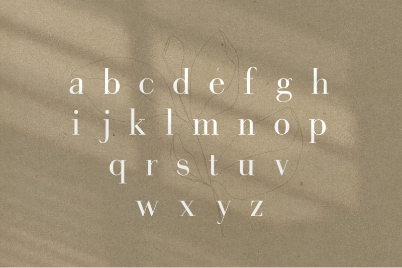 gorgeous-serif-font