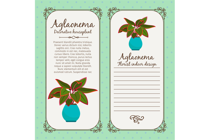 vintage-label-with-aglaonema-plant