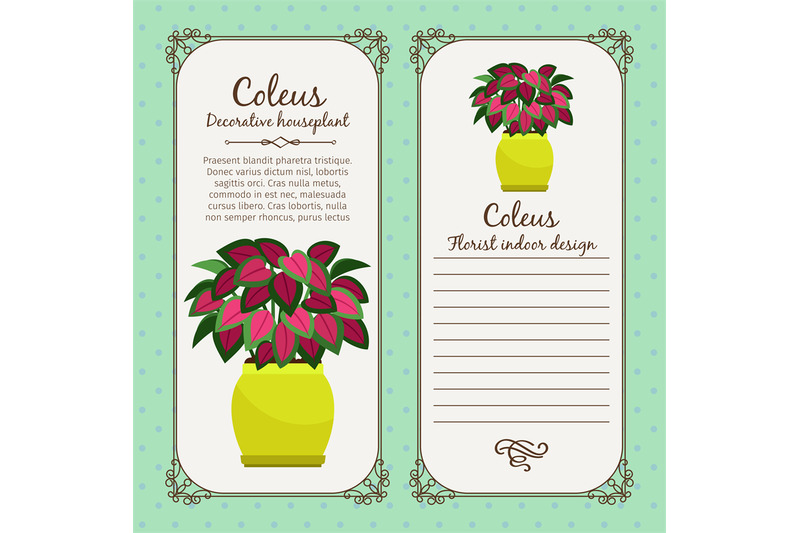 vintage-label-with-coleus-plant