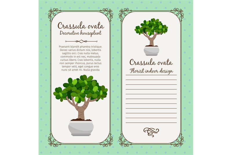 vintage-label-with-crassula-ovata-plant