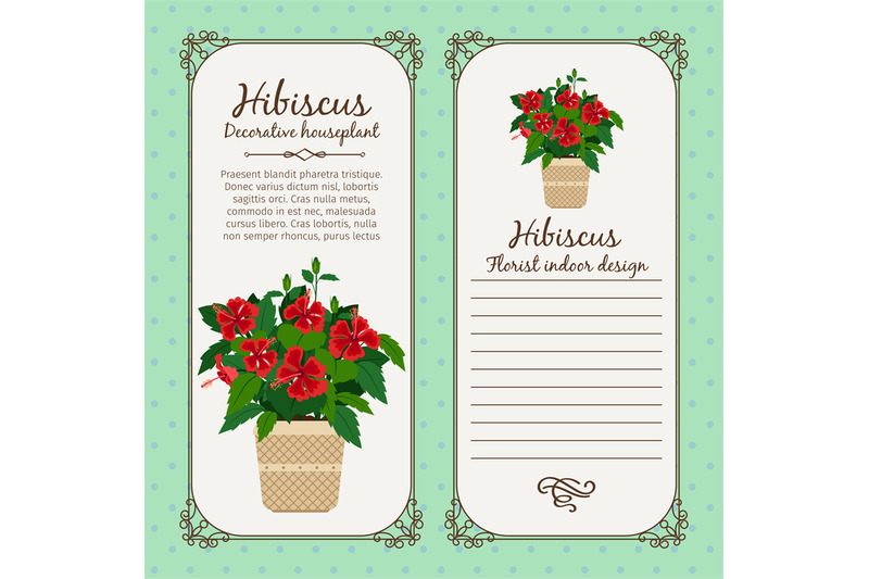 vintage-label-with-hibiscus-plant