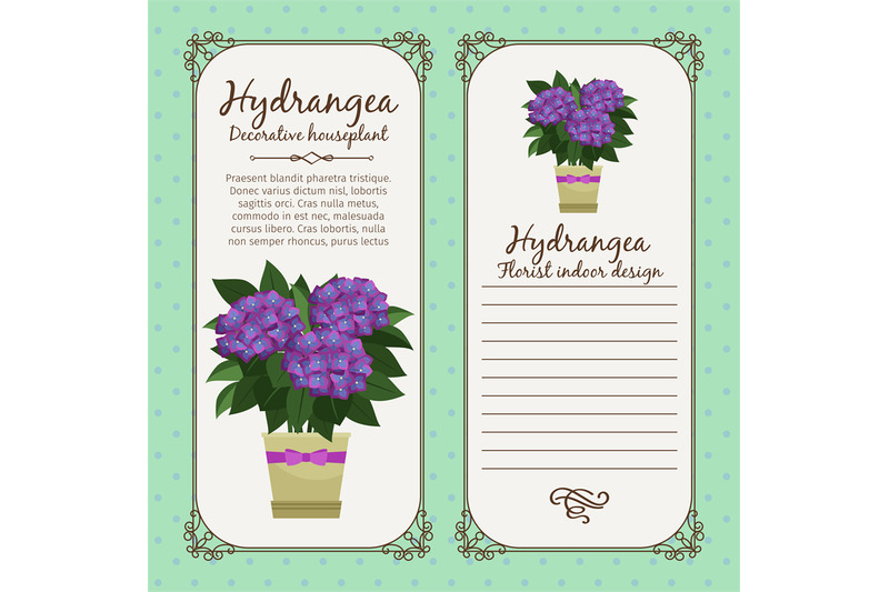 vintage-label-with-hydrangea-plant