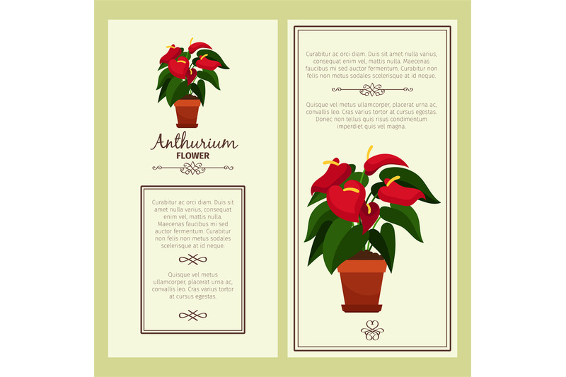 anthurium-flower-in-pot-banners