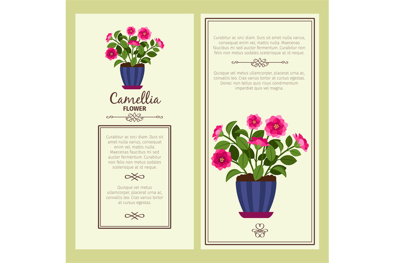 camellia-flower-in-pot-banners