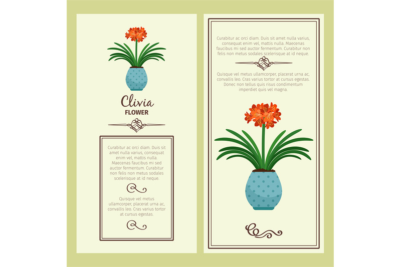 clivia-flower-in-pot-banners