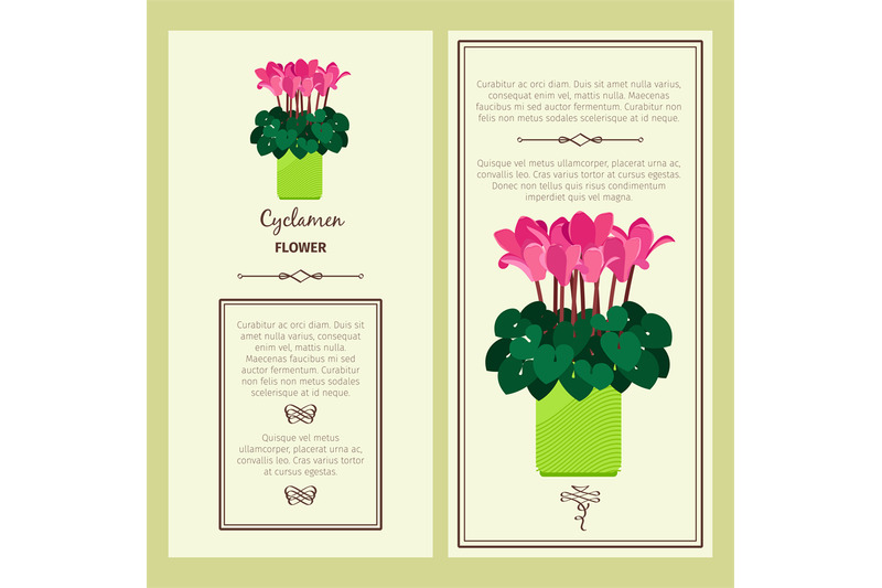 cyclamen-flower-in-pot-banners