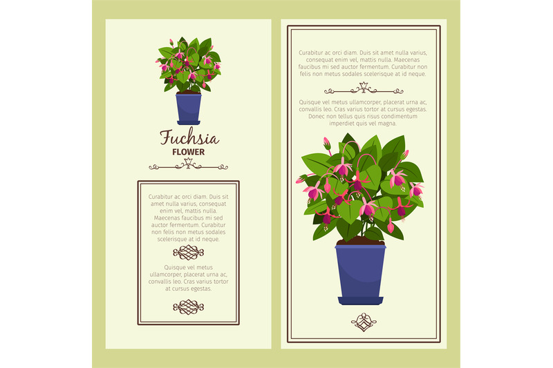 fuchsia-flower-in-pot-banners