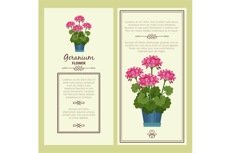 geranium-flower-in-pot-banners