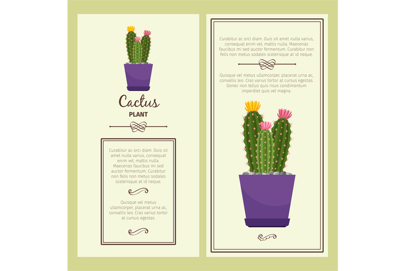 greeting-card-with-cactus-plant