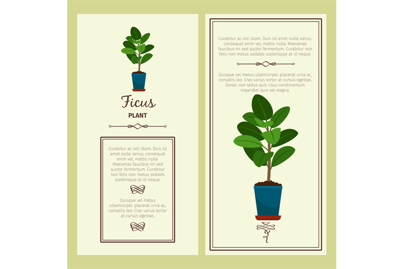 greeting-card-with-ficus-plant