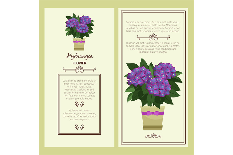 hydrangea-flower-in-pot-banners