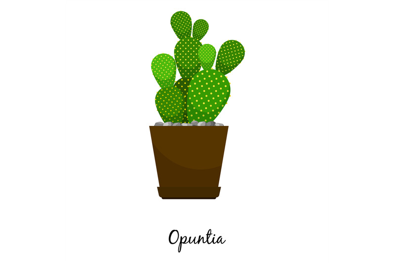 opuntia-cactus-in-pot