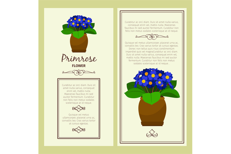 greeting-card-with-primrose-plant