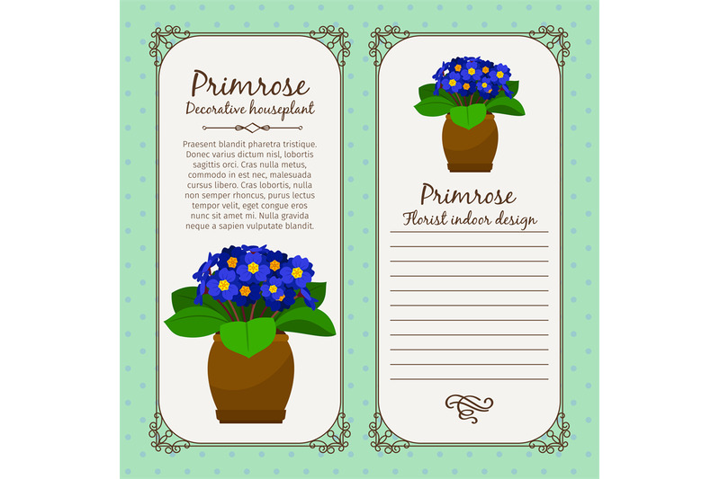 vintage-label-with-primrose-plant