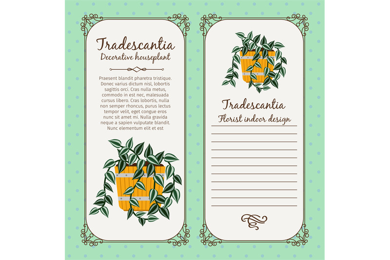 vintage-label-with-tradescontia-plant