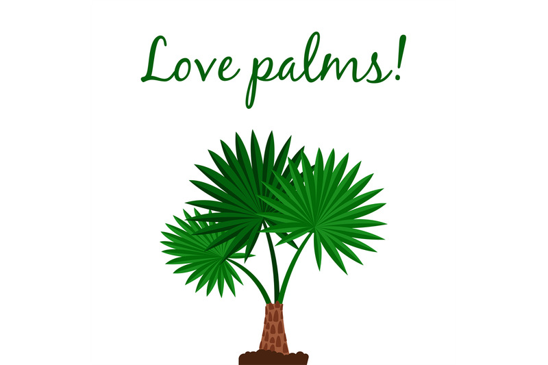 washingtonia-palm-tree-poster