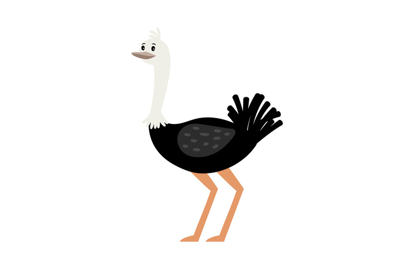 ostrich-cartoon-bird