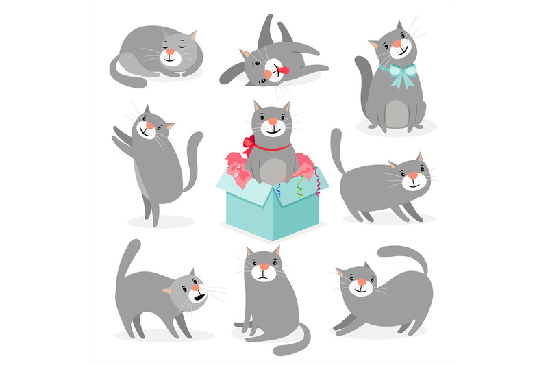 gray-cute-cats-collection