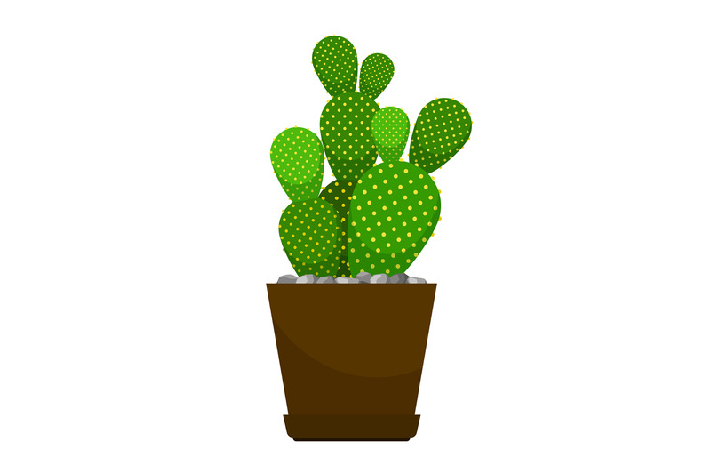 cactus-flower-pot