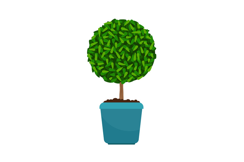 myrtus-tree-house-plant