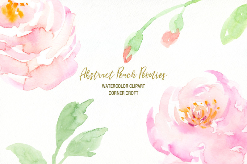 peach-peony-clipart