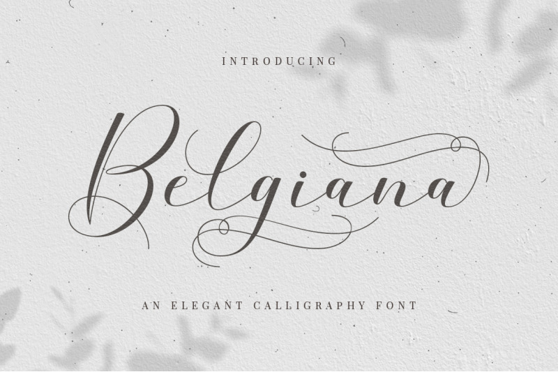 belgiana-script