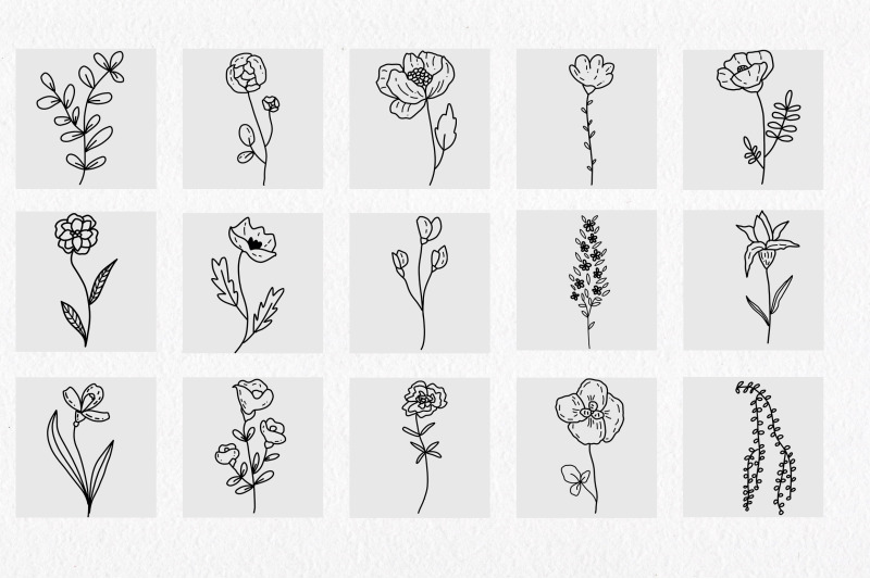 floral-and-herbal-elements-hand-drawn-botanical-line-illustrations