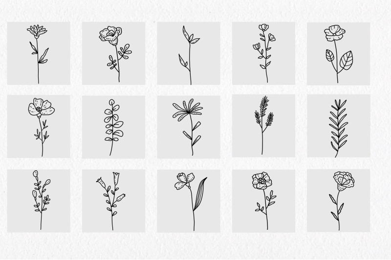 floral-and-herbal-elements-hand-drawn-botanical-line-illustrations