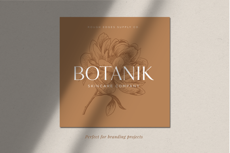 botanical-illustration-bundle