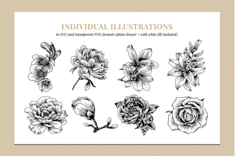 botanical-illustration-bundle
