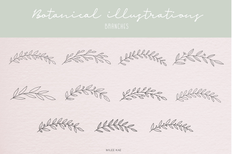 40-modern-botanical-illustrations