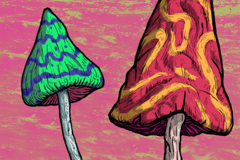 magic-mushrooms-illustrations