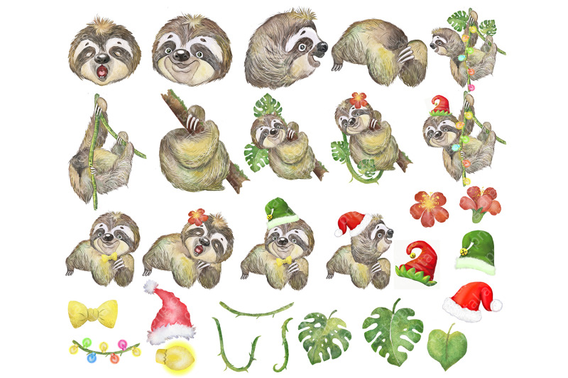 watercolor-christmas-animals-clipart-sloth-clipart-sloth-clip-art